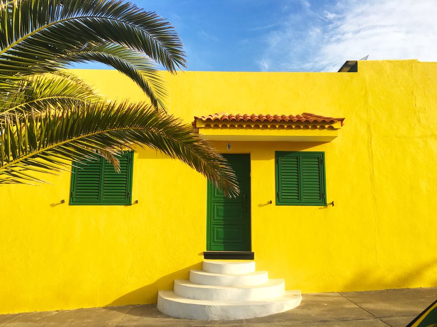 Yellow house wall with green shutters and a palm tree beside it.